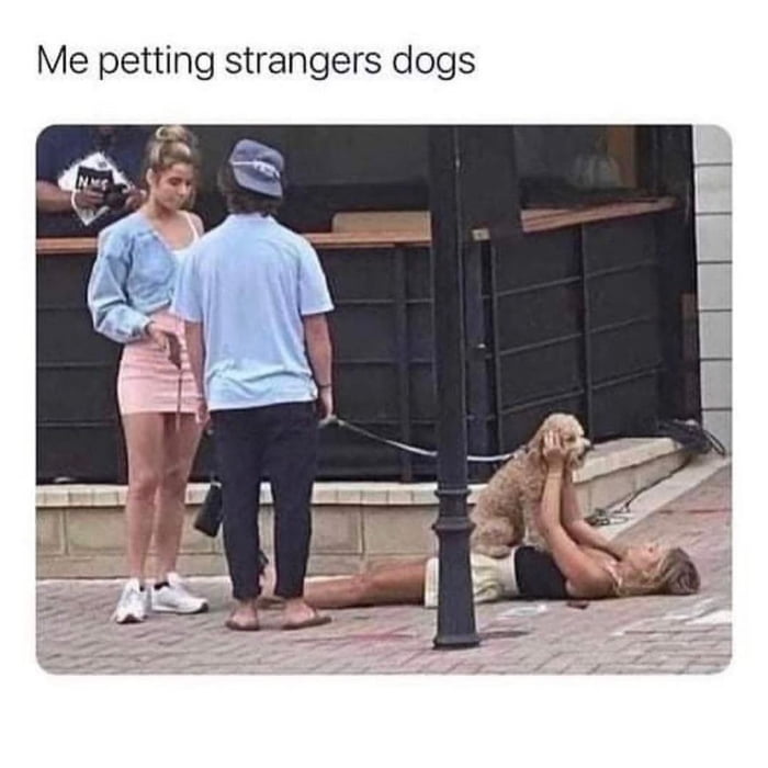 Me petting strangers - 9GAG