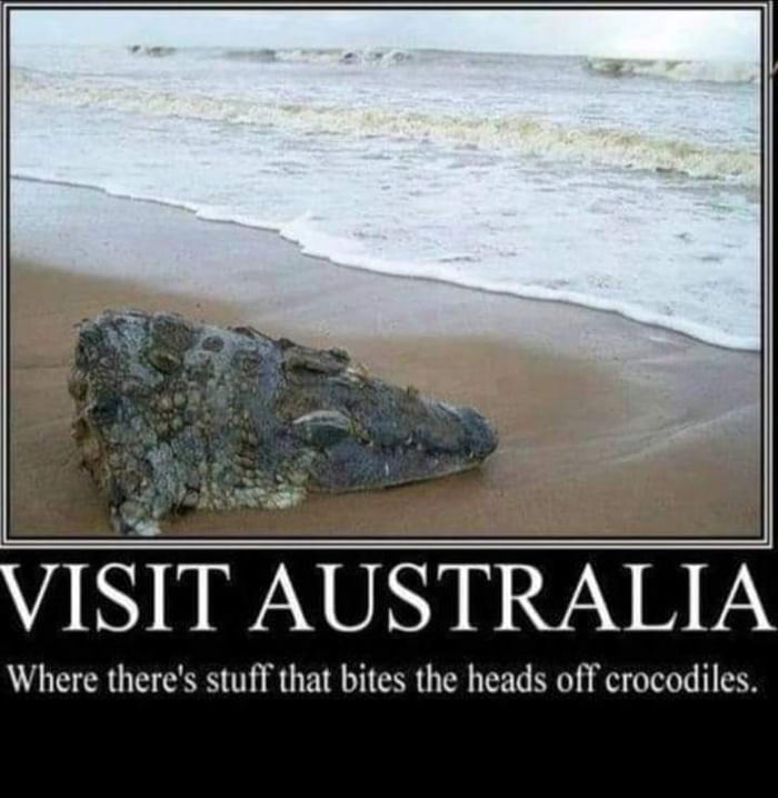 Everything is new перевод