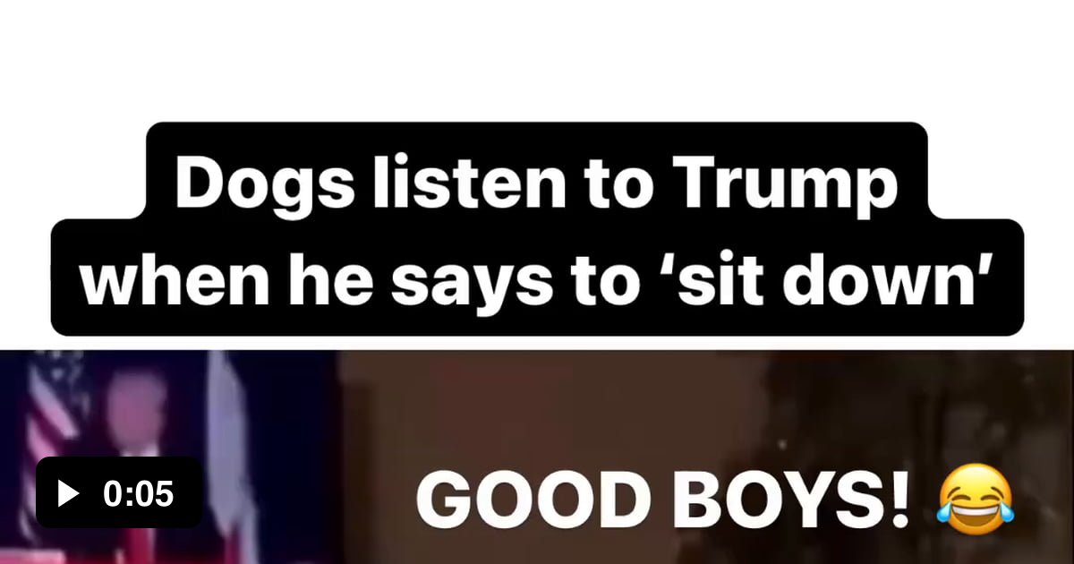 Even the dogs know 9GAG