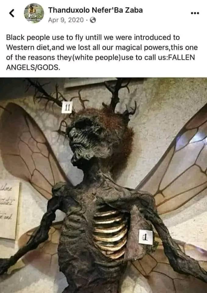 We Wuz Tinkerbell And Shiet 9GAG