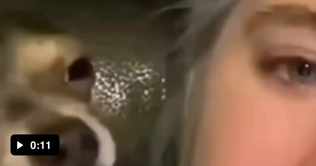 Do not the dog. 9GAG