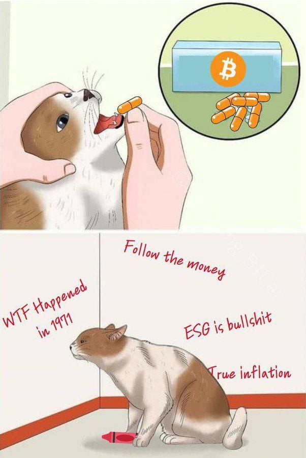 Not everyone can stomach the orange pill 9GAG