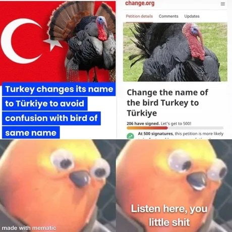 🇹🇷 = 🦃 - 9GAG