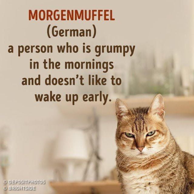 fun-german-words-9gag