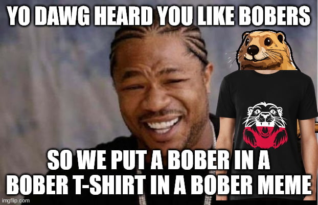 Bober in Bober Shirt in Bober Meme (Kurwa) - 9GAG