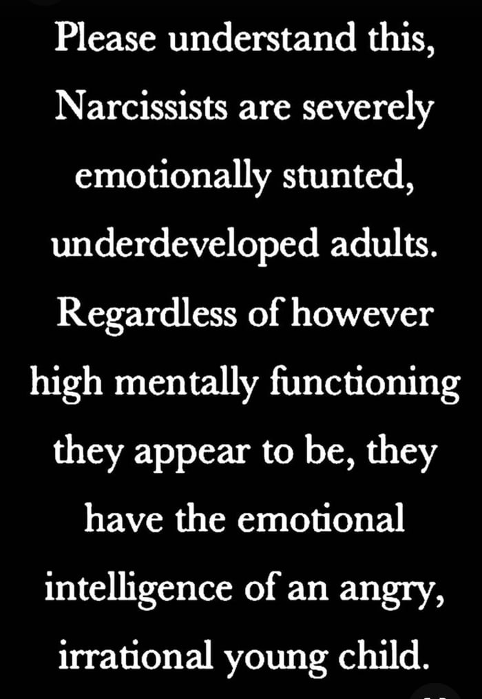 incase-anyone-else-is-dealing-with-a-narcissist-9gag