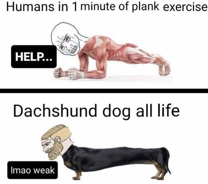 Doggie style 9GAG