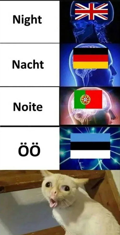 Кот по немецки