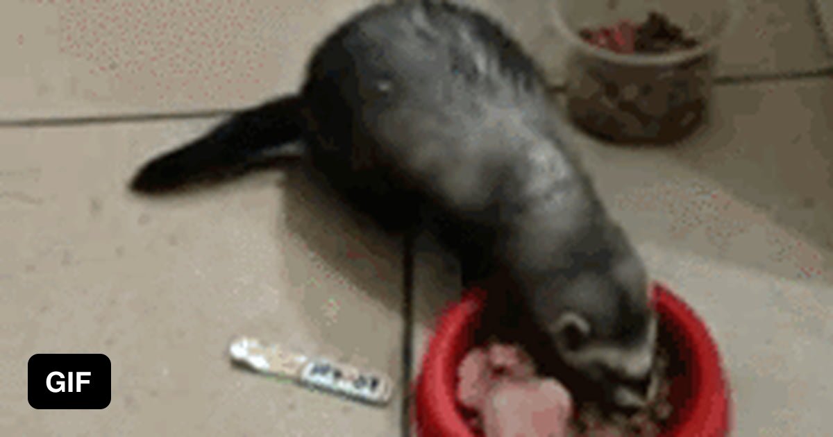 OMG... Awaaaa...! - 9GAG