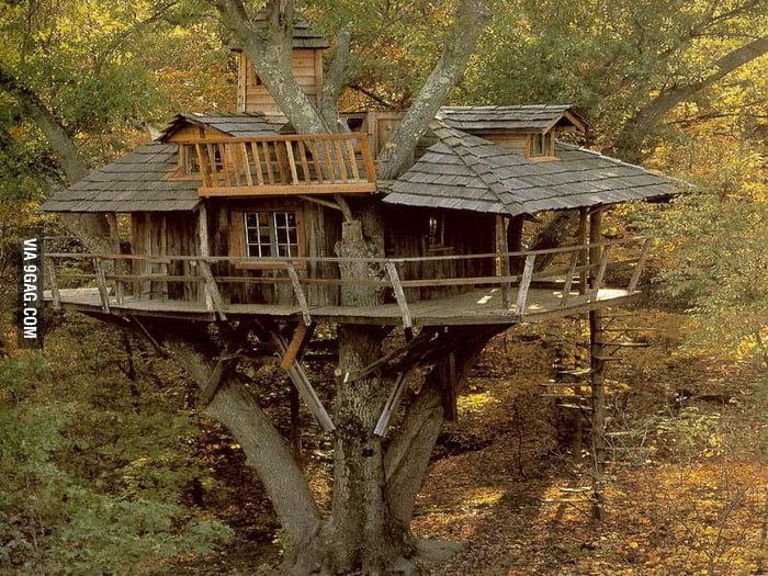 The talk about zombie apocalypse houses. A tree house would be one of