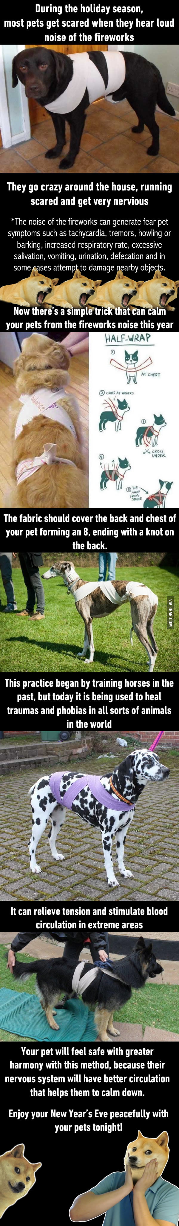 Simple Trick To Calm Your Pets During New Year's Fireworks