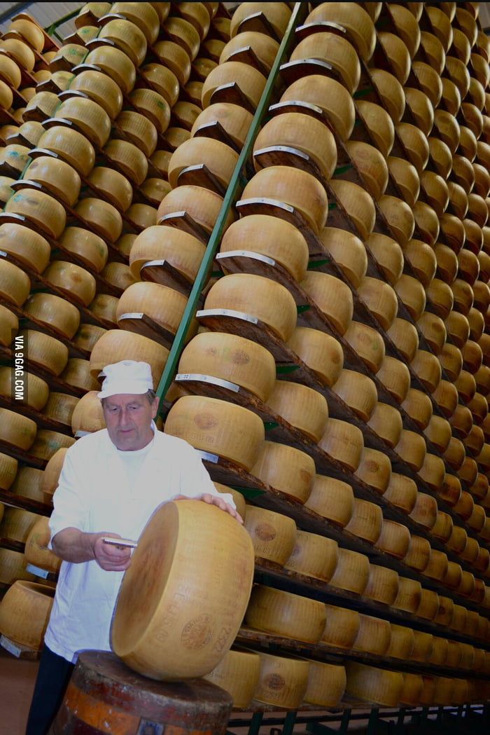 Original parmesan cheese factory 9GAG