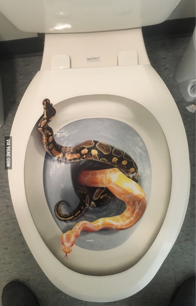 Toilet seat cover double take. 9GAG