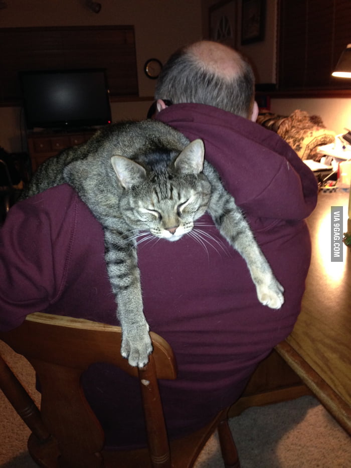 That is a happy cat! - 9GAG