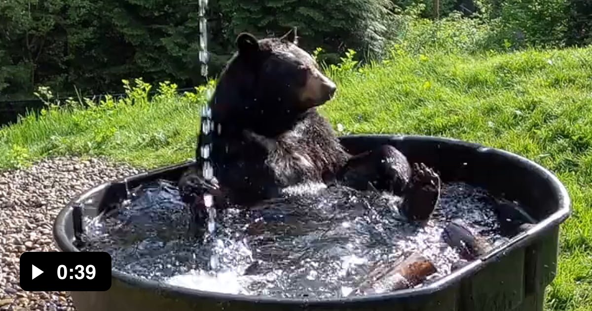 Rub a dub dub there’s a cub in the tub. - 9GAG