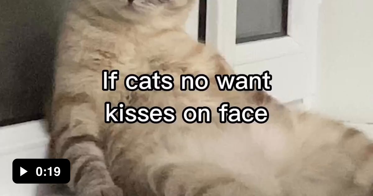 Asking The Real Questions 9gag