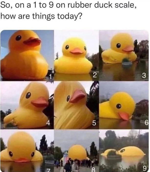 on-a-scale-of-1-to-9-how-are-you-feeling-today-9gag