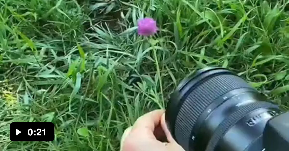 The Cutest Photoshoot 9gag