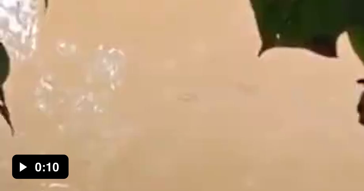 And I M Traveling To Indonesia In 3 Days 9gag