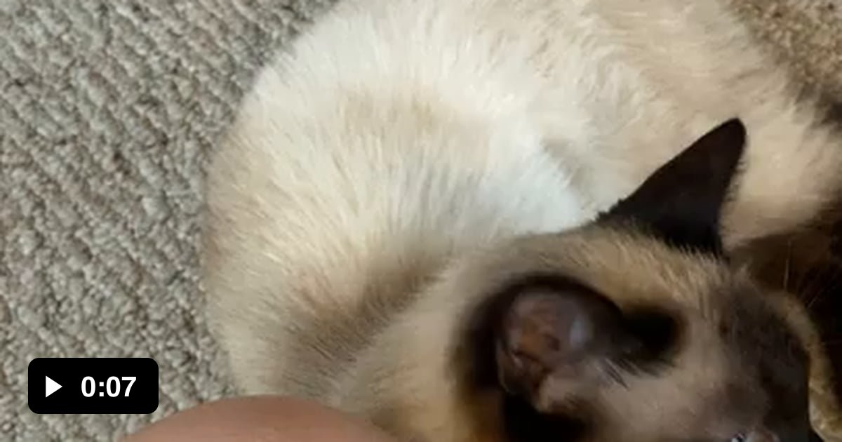 She’s eating me alive! 9GAG