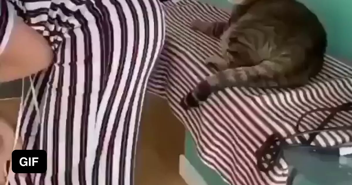 Smells like fish, let me take a bite 9GAG