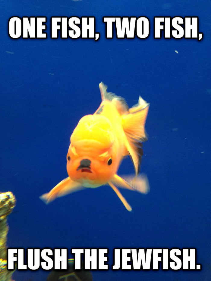 One Fish Two Fish Red Fish Jew Fish - 9gag