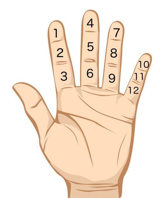 The number of finger joints on each hand excluding the thumb makes it