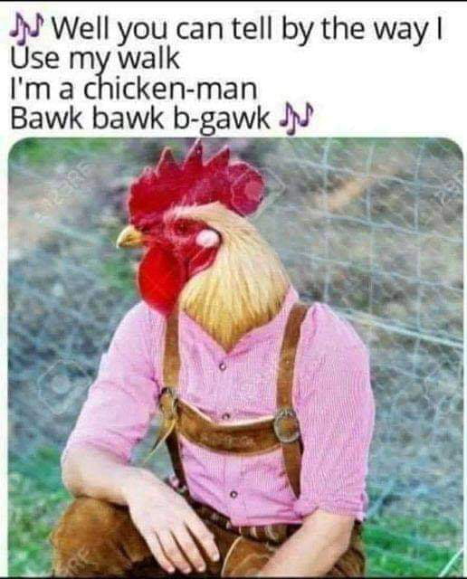 Bawk bawk b-gawk! - 9GAG