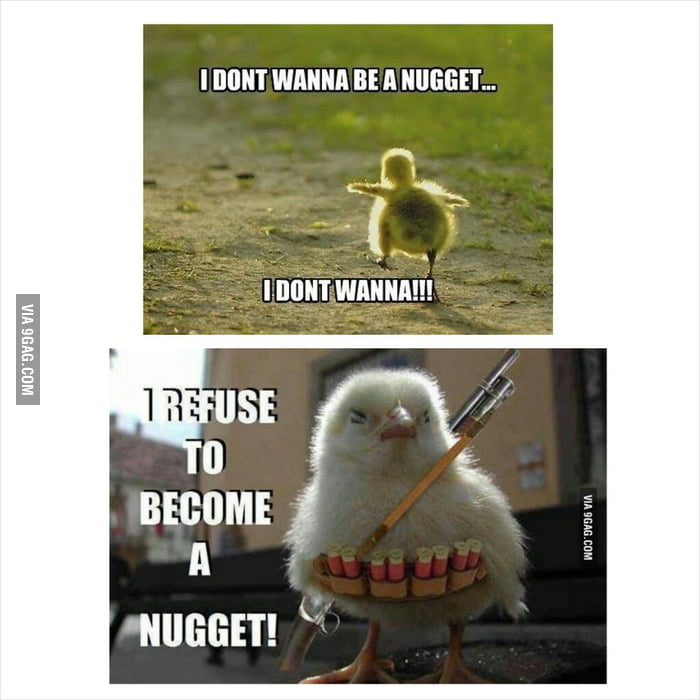 My How He S Grown 9gag
