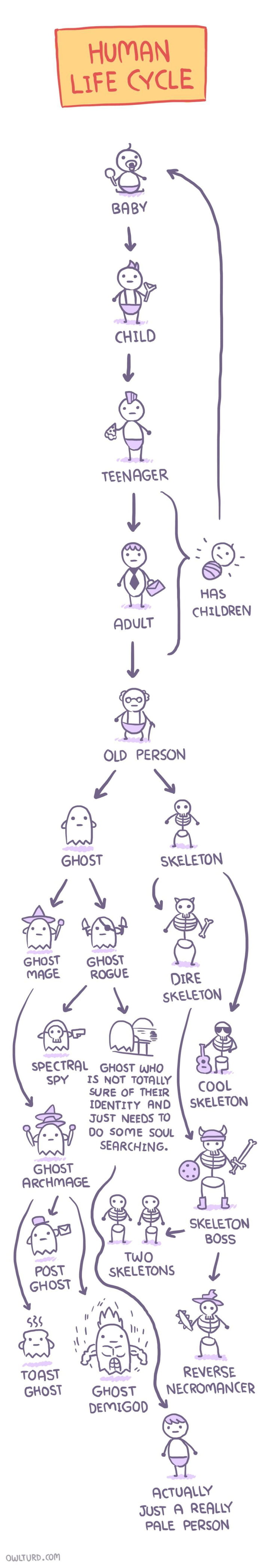 Human Life Cycle 9gag