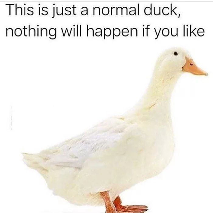 Just a quack meme - 9GAG