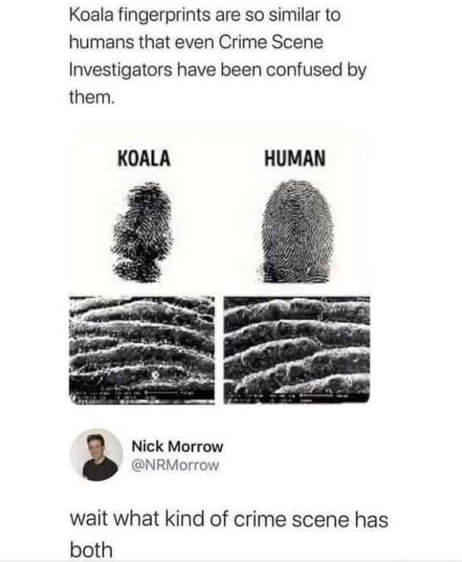 We were wondering the same thing - 9GAG