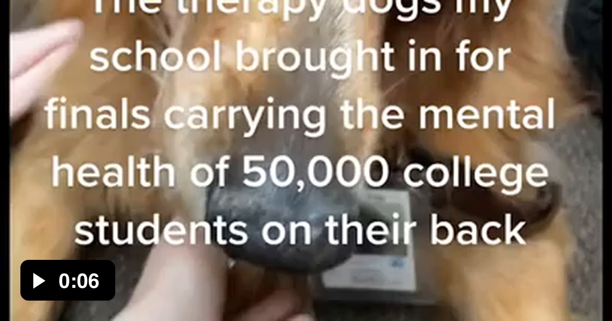 Therapy dogs for college students 9GAG