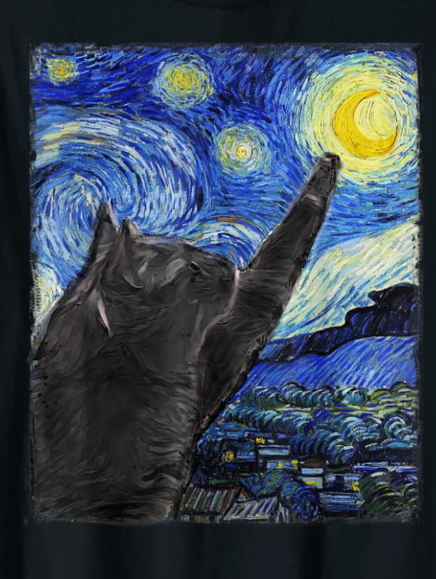 Starry Night Cat - 9GAG