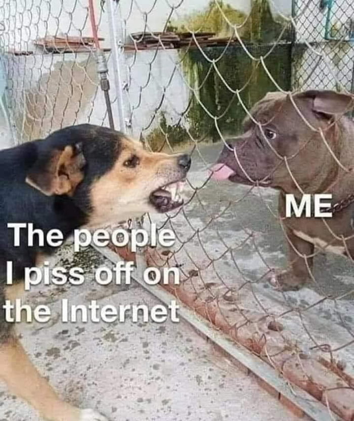 Just another great day on the internet! - 9GAG
