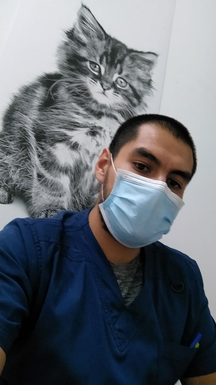 I really love my job, I'm a veterinarian, but man, 24 hours shifts are