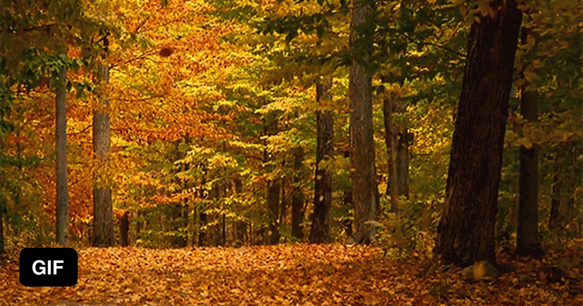 I Dig Fall This is why I love fall - 9GAG
