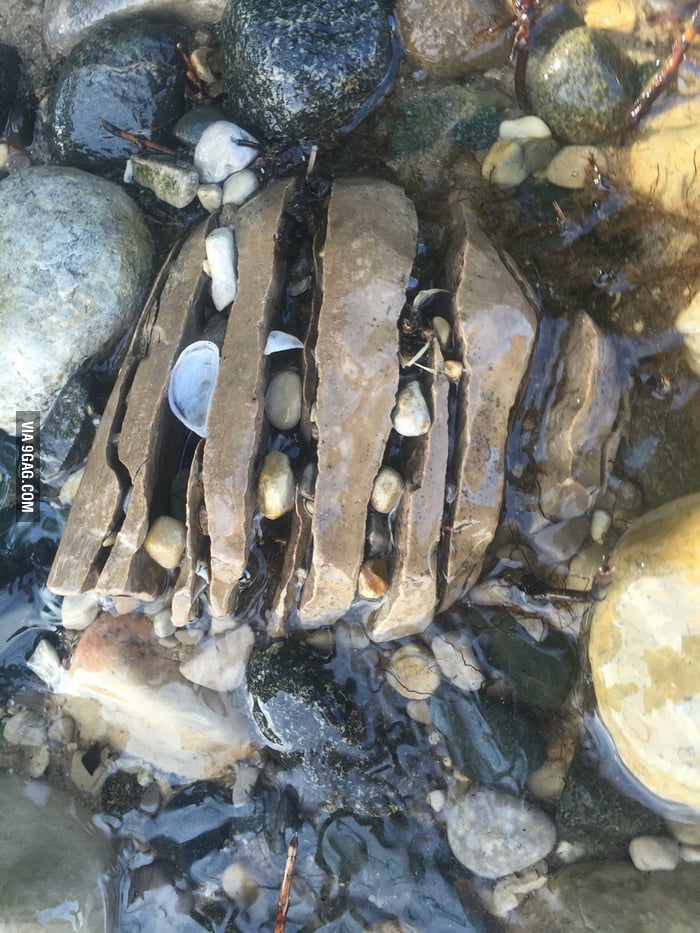 Rock split into 8 pieces. 9GAG