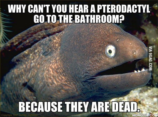 This Is So Stupid It S Brilliant 9gag