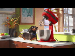 putlocker the secret life of pets putlocker the secret life of pets