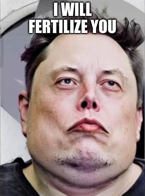 23 X 400