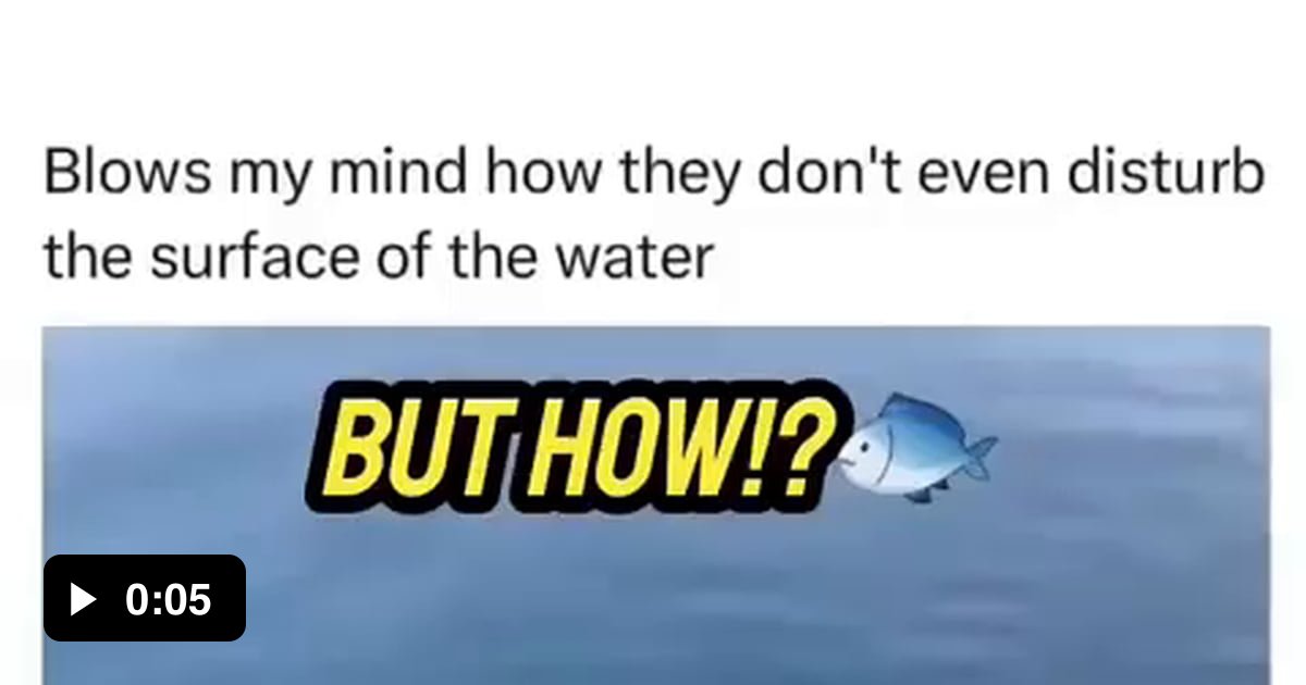 Fish doesnt even break the water tension 9GAG