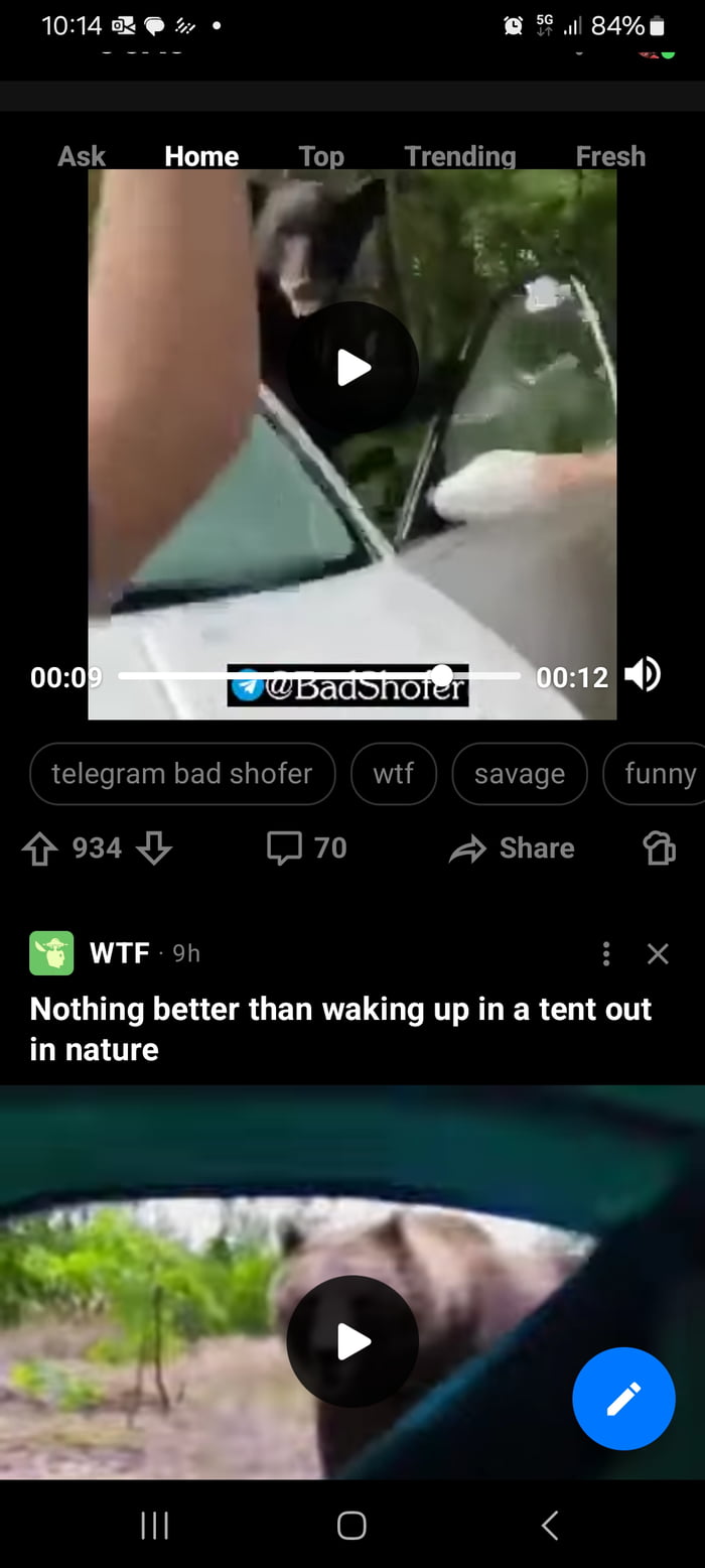 What's with the bear posts? - 9GAG