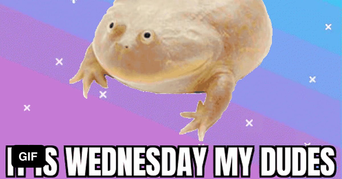 It Is Wednesday My Dudes 9gag