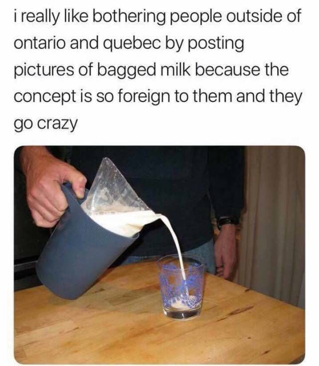 Bagged Milk 9gag Bagged Milk