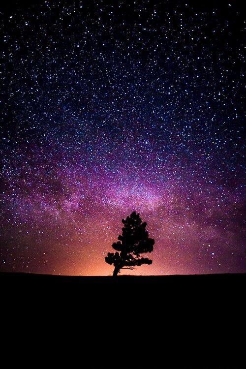 The Milky Way and The Tree - 9GAG