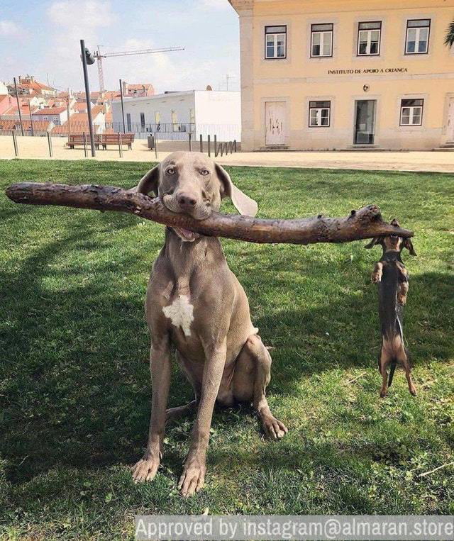 branch-manager-and-assistant-branch-manager-9gag