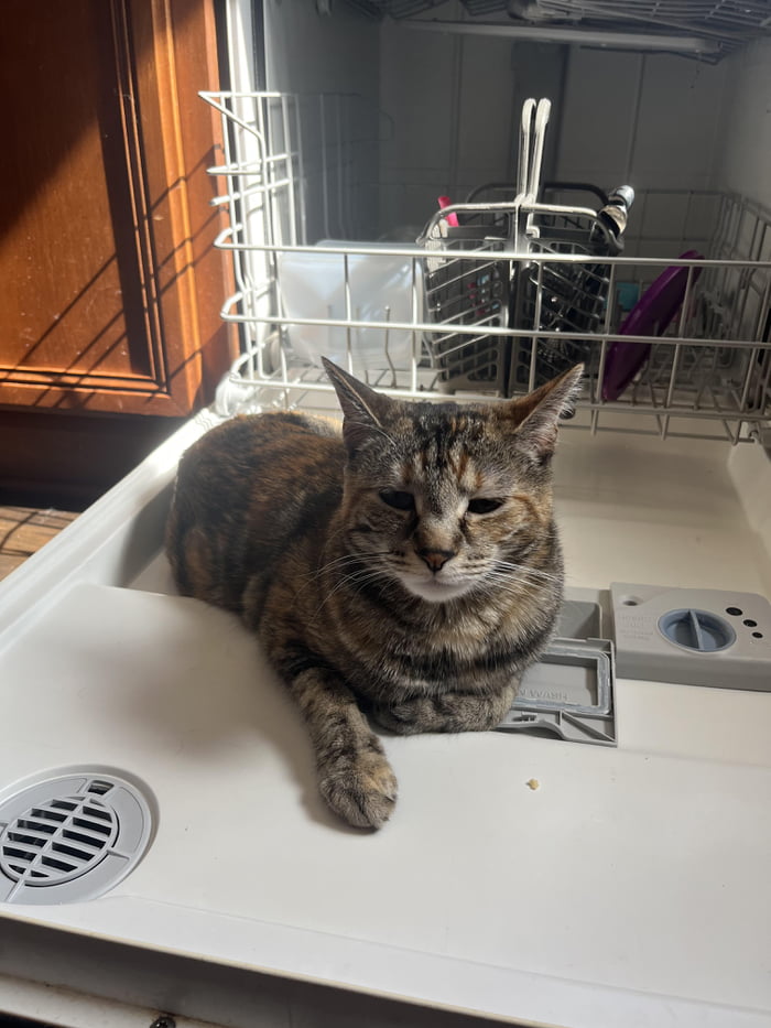Took too long unloading the dishwasher 9GAG