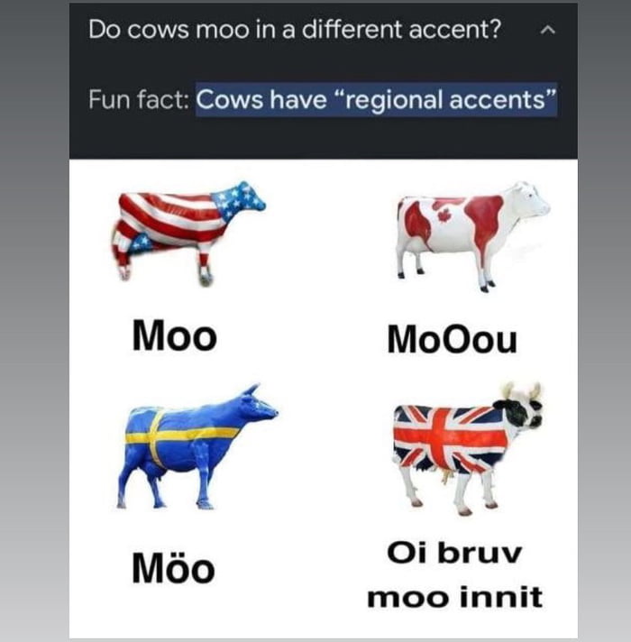 Not A Moot Point 9GAG Not A Moot Point 9GAG