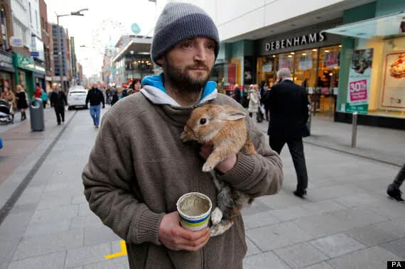 This Homeless man's rabbit was thrown over a bridge by a passerby and ...